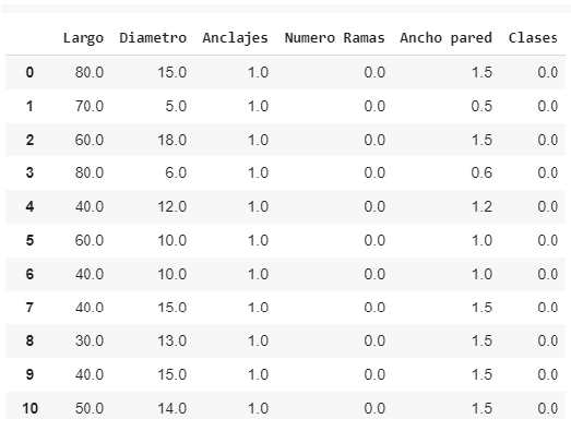 Figura 4: Primeras 11 filas del dataset de 1200 filas