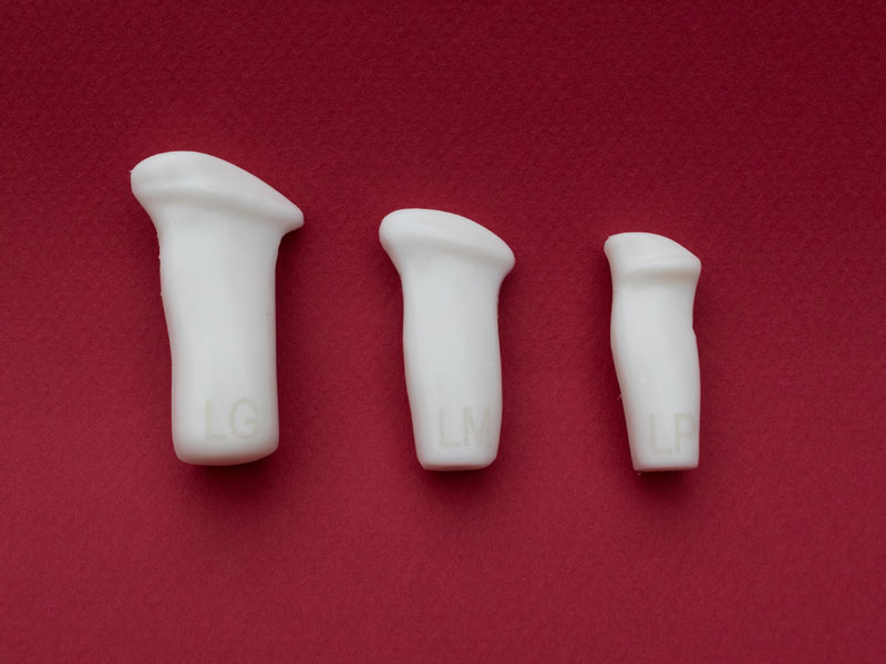 Aplicação do stent laríngeo em estenoses laríngeas